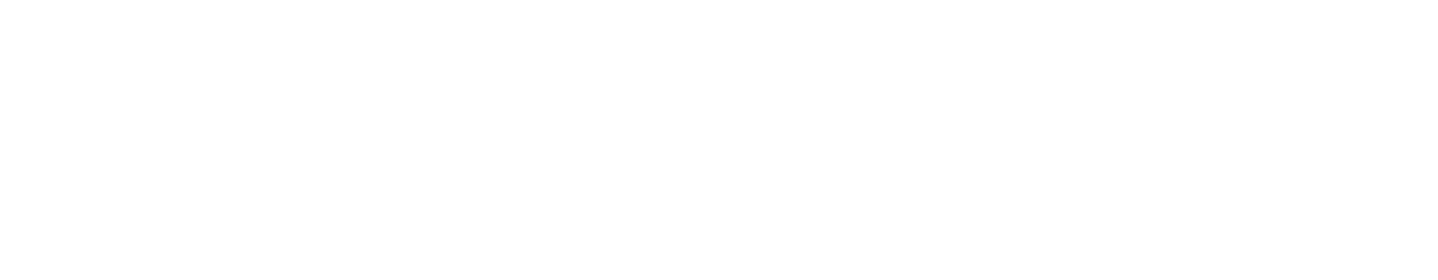 Australis DSO · Health Partners